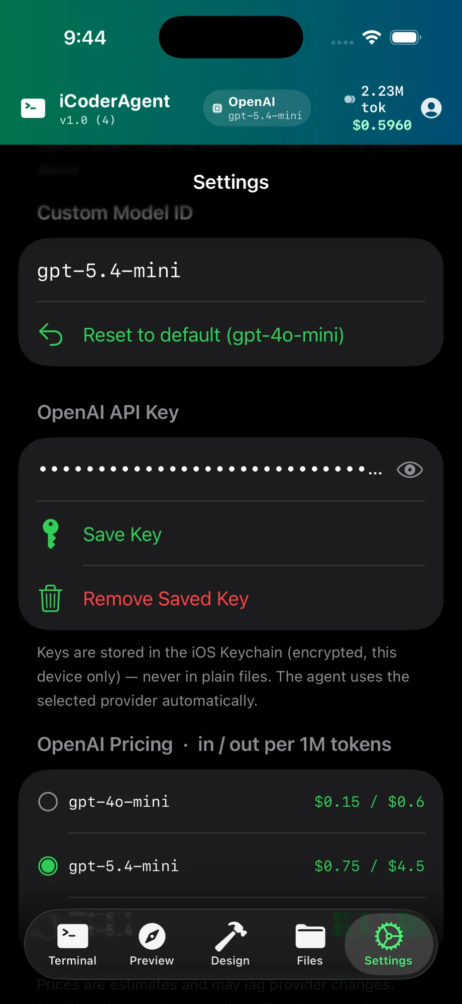 Settings — entering an API key, saved to the iOS Keychain